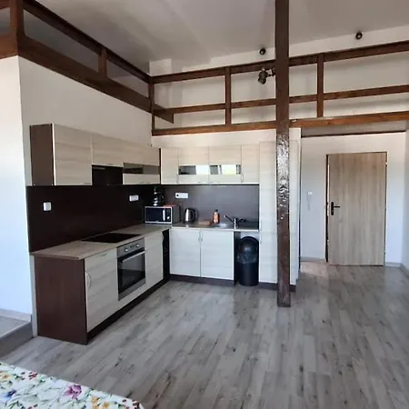 Masarykova Apartmens Delux アパート